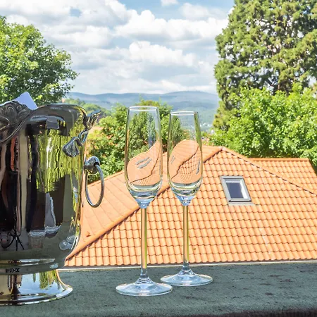 מלון Erbprinzenpalais ורניגרוד