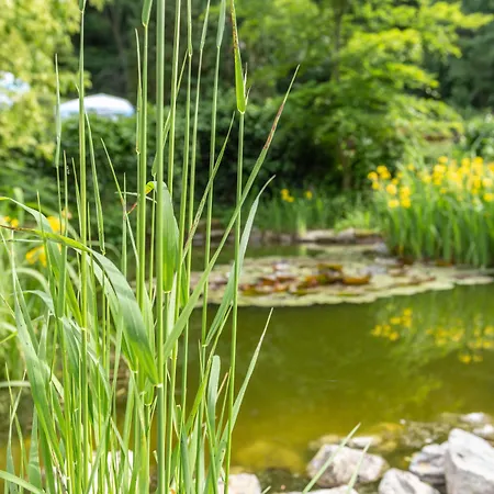 Erbprinzenpalais Wernigerode