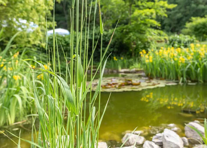 Erbprinzenpalais ורניגרוד